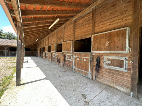 Vente Proprit/Chteau La passion des chevaux Arelaune en seine