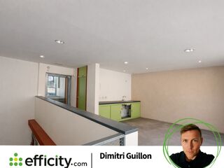  Loft à vendre 3 pièces 67 m² Saint savin