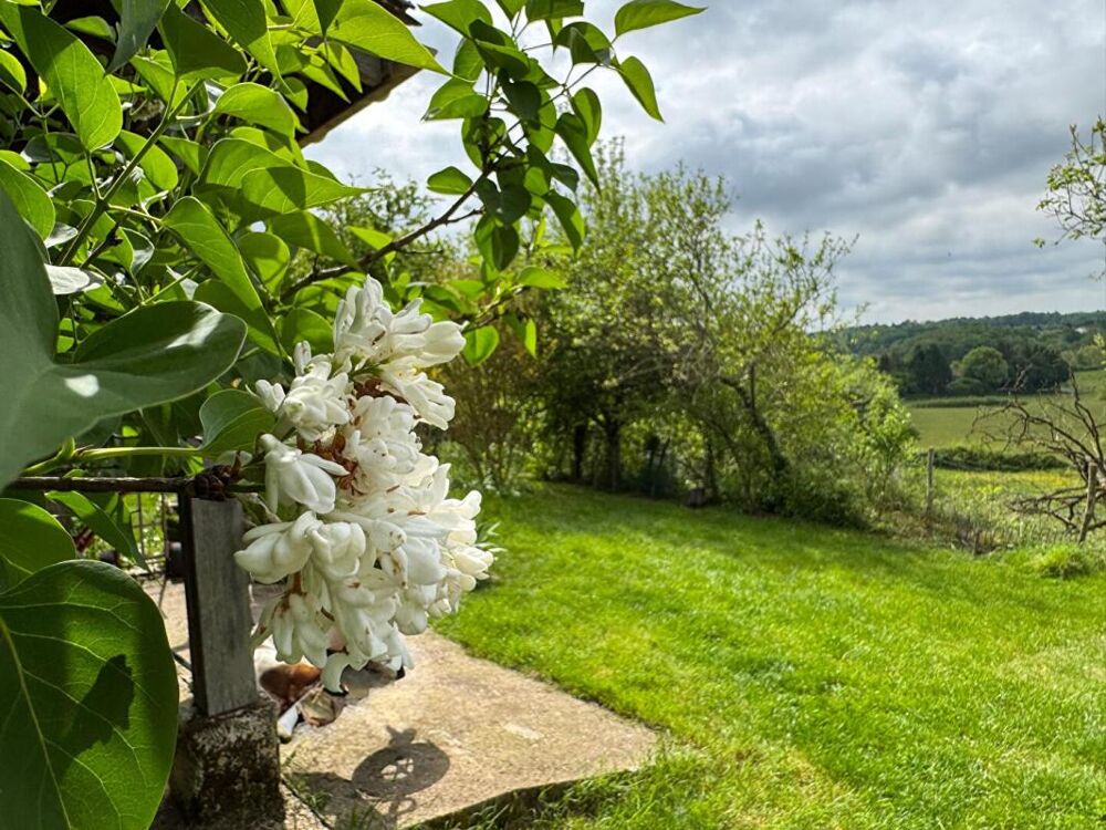 Longère et grange en pierre, 5 pièces, 3 chambres, puits, 6,5 ha jolie vue