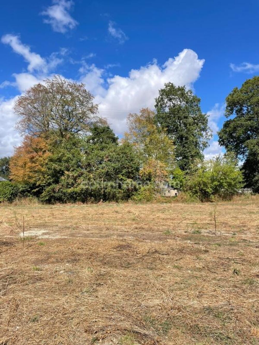 Vente Terrain Terrain constructible 1 498 m² au calme - Libre de constructeur (Ploërmel) Ploermel