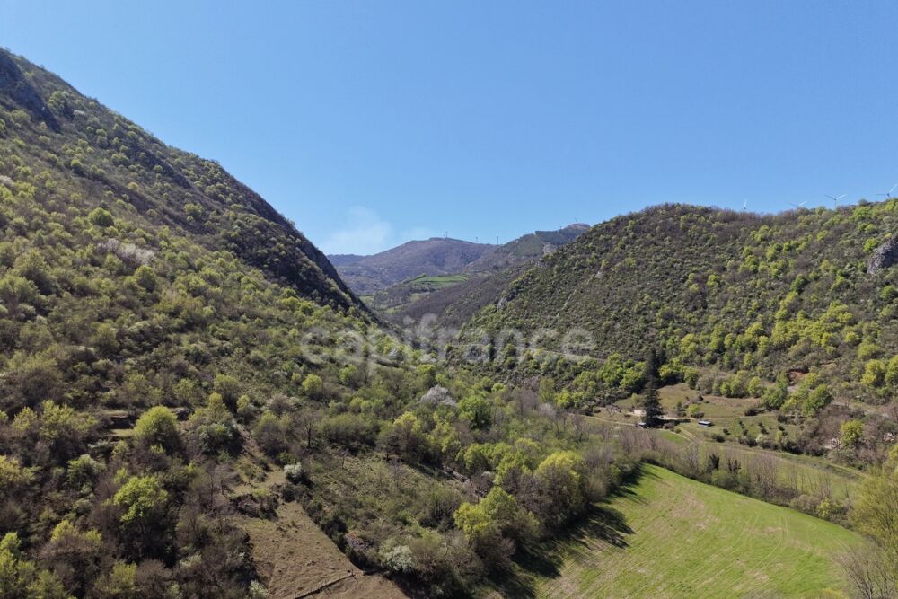 Vente Terrain Terres et bâtis d'activités de 256 m² sur 20 hectares (203 000 m²) Brusque