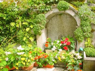  Immeuble � vendre 491 m�