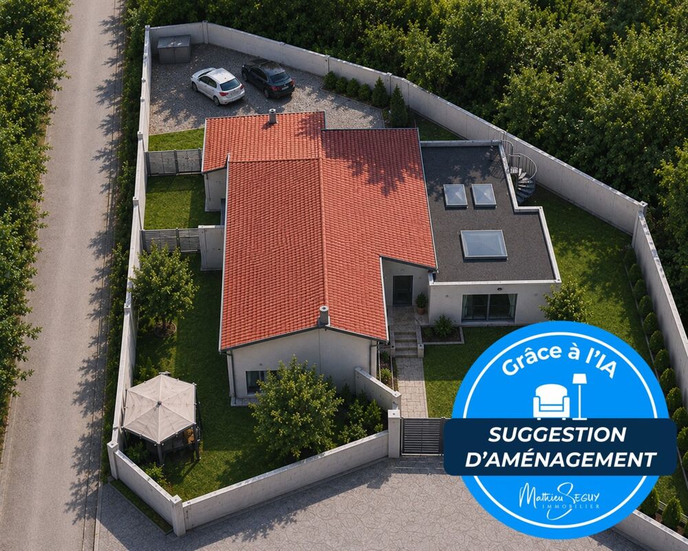   Ensemble immobilier pro/perso à St Genis Laval Saint genis laval