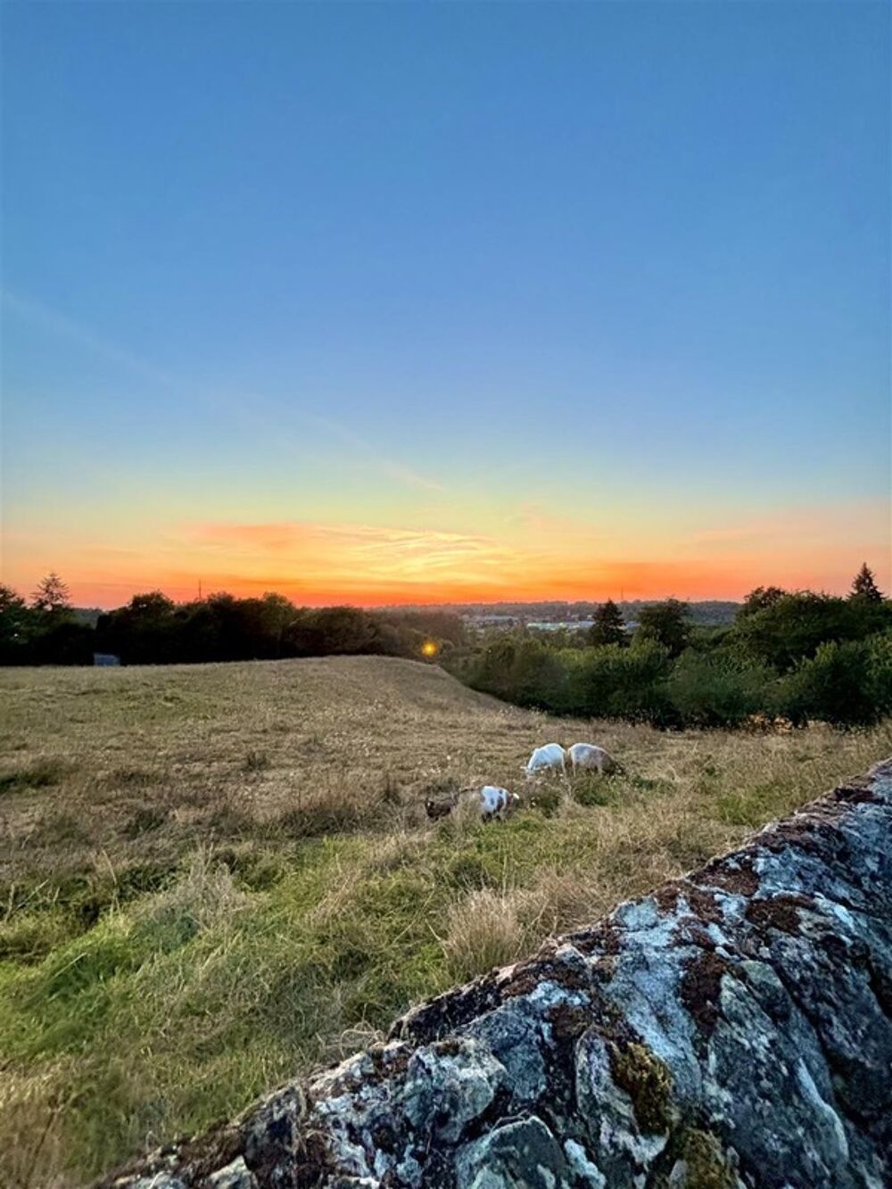 � vendre  Maison Confolens (16500)