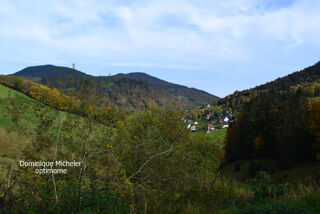  Immeuble � vendre 15 + pi�ces 415 m�