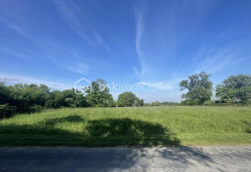 Vente Terrain Terrain constructible - Châtillon-sur-Broué Giffaumont champaubert