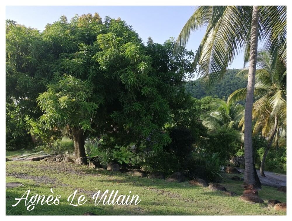 � vendre  Propri�t�/ch�teau Deshaies (97126)