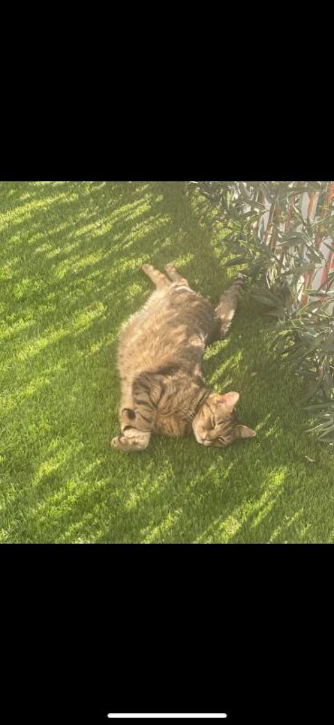  Appartement � louer 1 pi�ce 66 m�