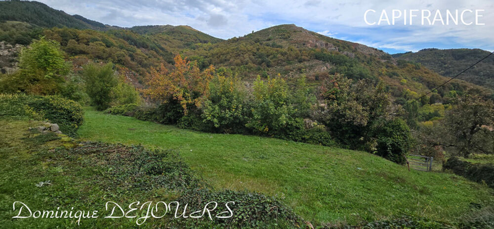 Vente Maison Ardèche, à 5 mn en voiture de St Pierreville au coeur du parc national des Monts d'Ardèche, spacieuse maison de 178m² avec une g Saint pierreville