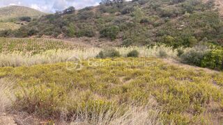  Terrain � vendre 4685 m�