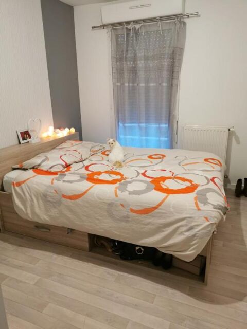  Appartement � louer 3 pi�ces 55 m�