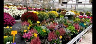  Maison � vendre 7 pi�ces 160 m�