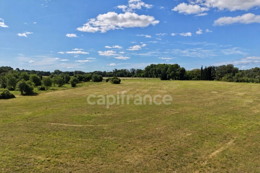 Vente Terrain Lot de parcelles agricoles - 62 hectares (62 000 m²) - SOMMIERES (GARD) Sommieres