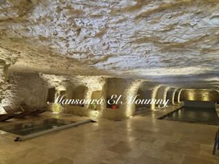  Propriété/château à vendre 10 pièces 400 m²
