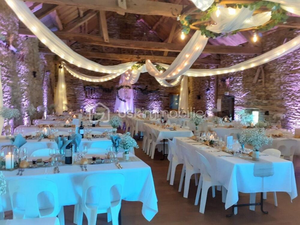  vendre  Proprit/chteau Albi (81000)