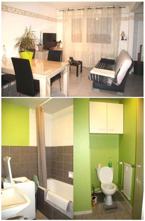   Appartement de 46m2 � louer sur Sarrebourg Appartement - 2 pi�ce(s) - 46 m�