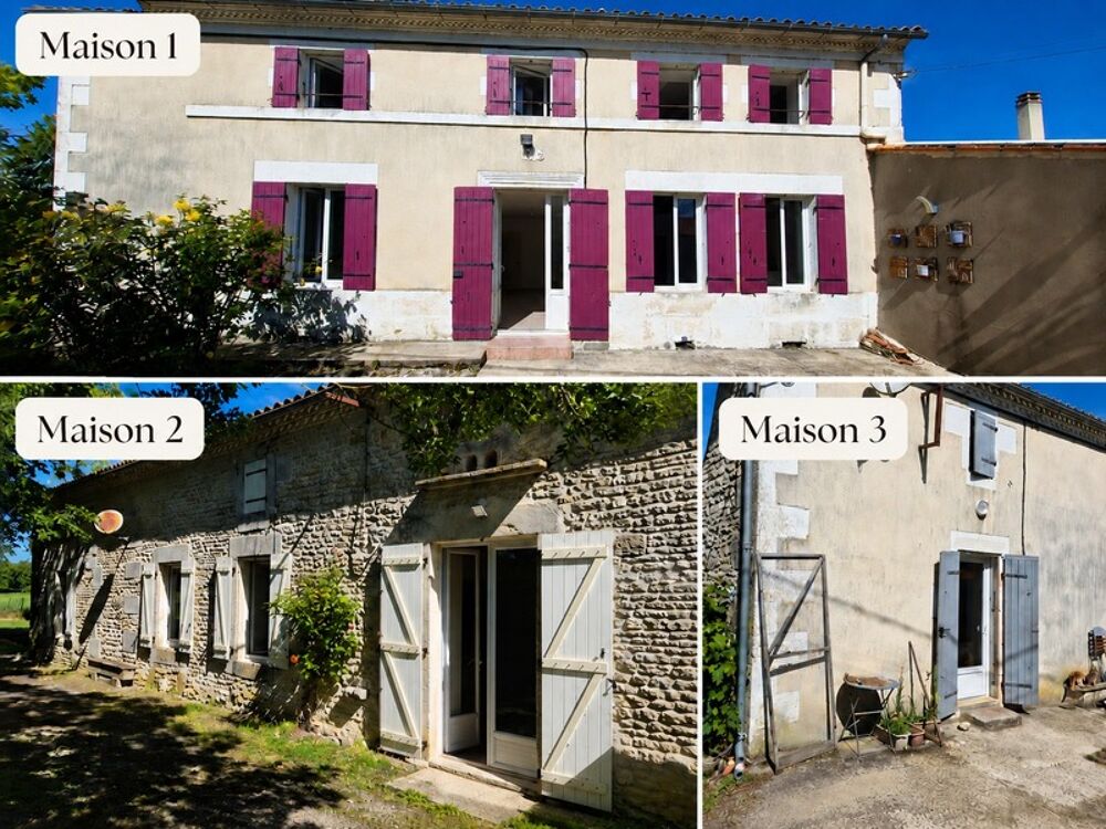 Ensemble immobilier avec 3 maisons sur 5 110 m²  Moragne 17430