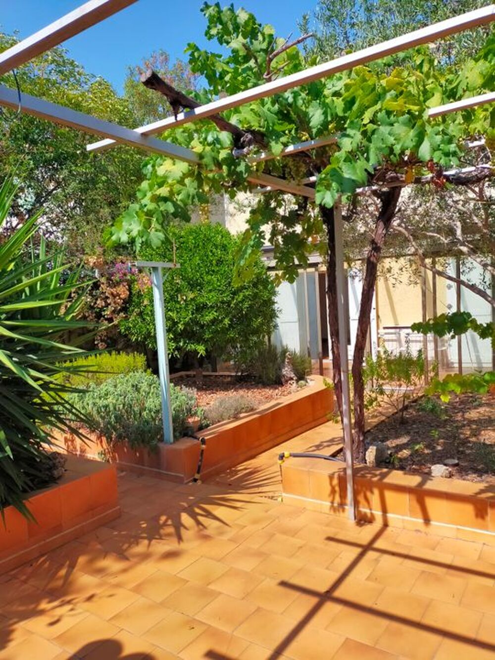 Location Appartement Chambre de 15m2 à louer sur Toulon Toulon