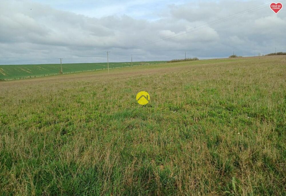 Vente Terrain TERRAIN CONSTRUCTIBLE 995 M2 Charost