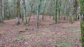  Terrain à vendre 1255 m²