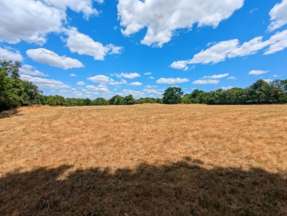  vendre  Maison Couron (44220)