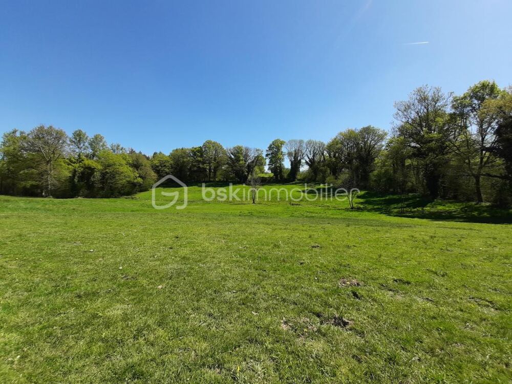 Vente Terrain Terres Agricoles 62720 m² Chaillac sur vienne