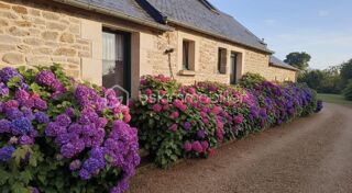  Propri�t�/ch�teau � vendre 11 pi�ces 265 m�