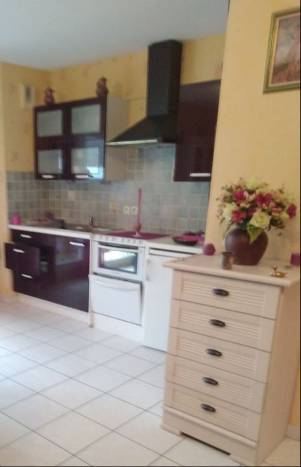 Location Appartement Studio de 43m2 à louer sur Faverges-Seythenex Faverges seythenex