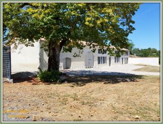  Maison � vendre 7 pi�ces 260 m�