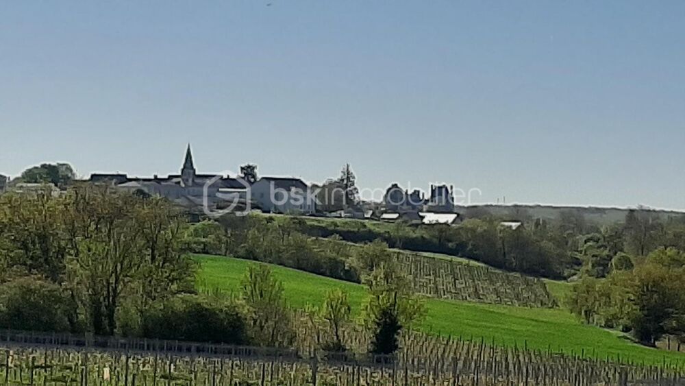Vente Terrain Terrain 600m2 Les Garennes sur Loire Les garennes sur loire