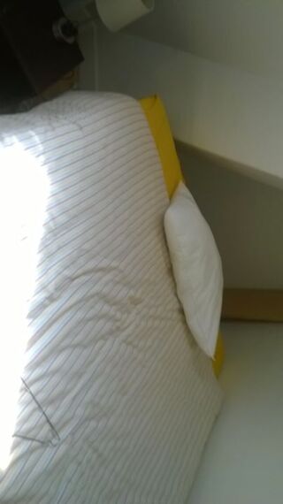 Appartement à louer 1 pièce 16 m²