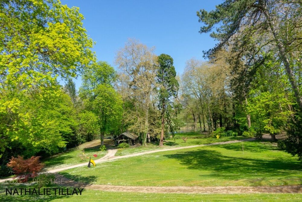 à vendre  Propriété/château Orléans (45000)