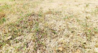  Terrain � vendre 850 m�