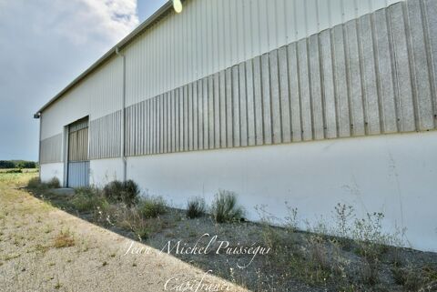 Dpt Haute Garonne (31), à vendre proche de SAINT GAUDENS Entrepôt et Bureaux de 1200m2 Terrain 3200m2 350000 31800 Villeneuve de riviere
