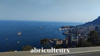 Appartement à vendre 2 pièces 50 m²