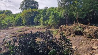  Terrain � vendre 897 m�