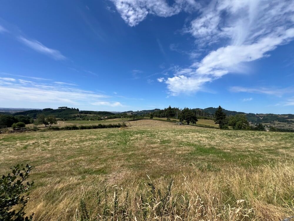 Vente Propri�t�/Ch�teau Propriete � vendre 6 pi�ces CHAUFFAILLES (71) Chauffailles