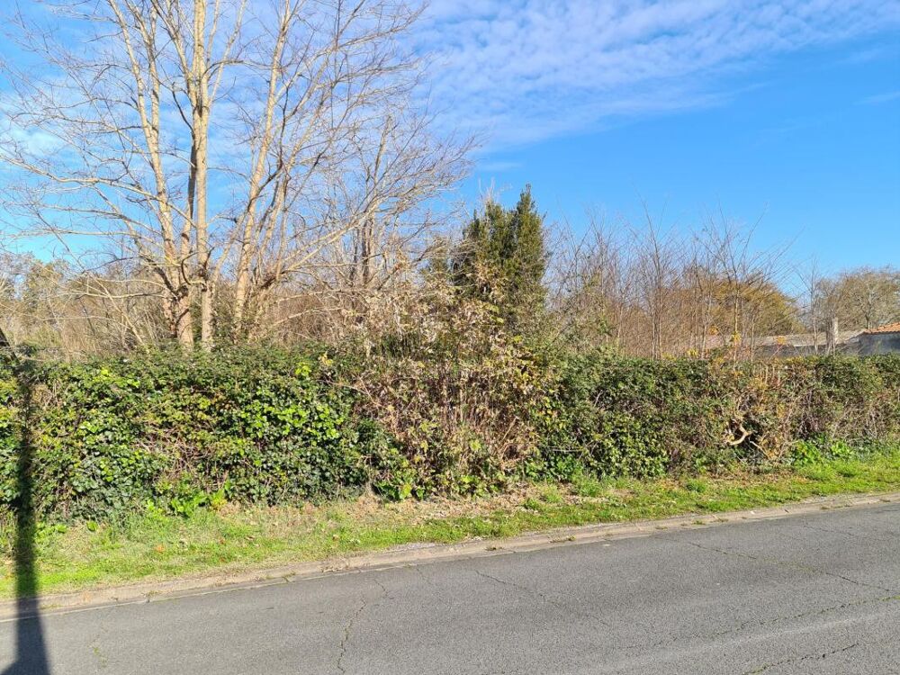 Vente Terrain 