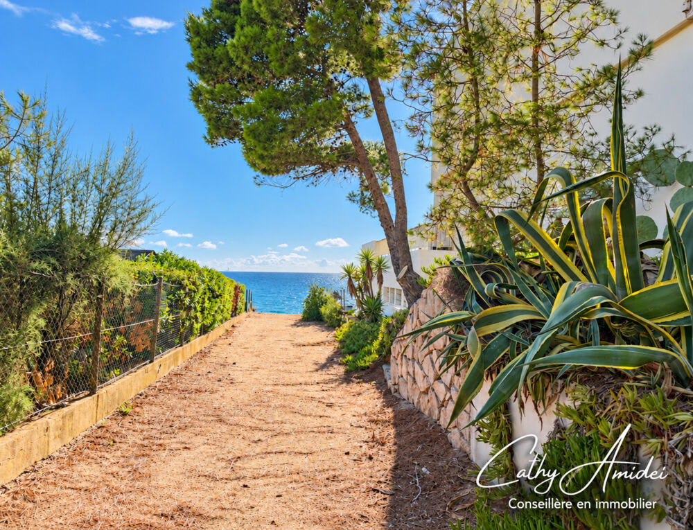 Vente Appartement OLMETO-PLAGE (CORSE) : A vendre Studio en front de mer, terrasse, dernier étage, accès direct à la plage Olmeto