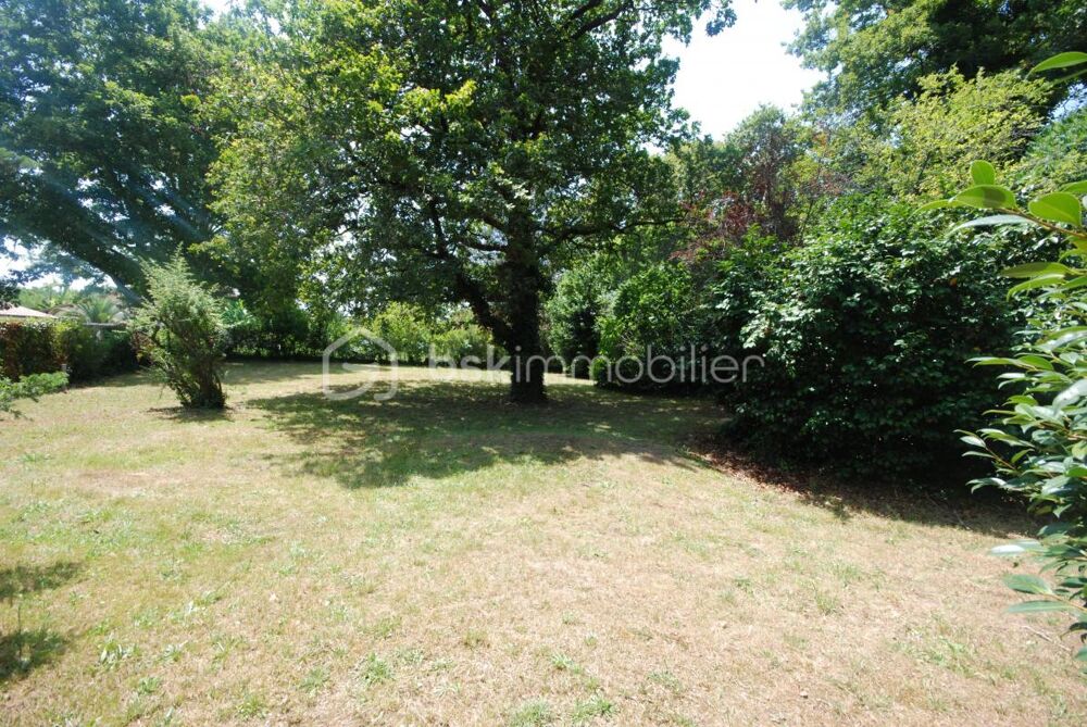 Vente Terrain Alerte Investissement Rare : Grand terrain à saisir sur les Pyrénées ! Narrosse