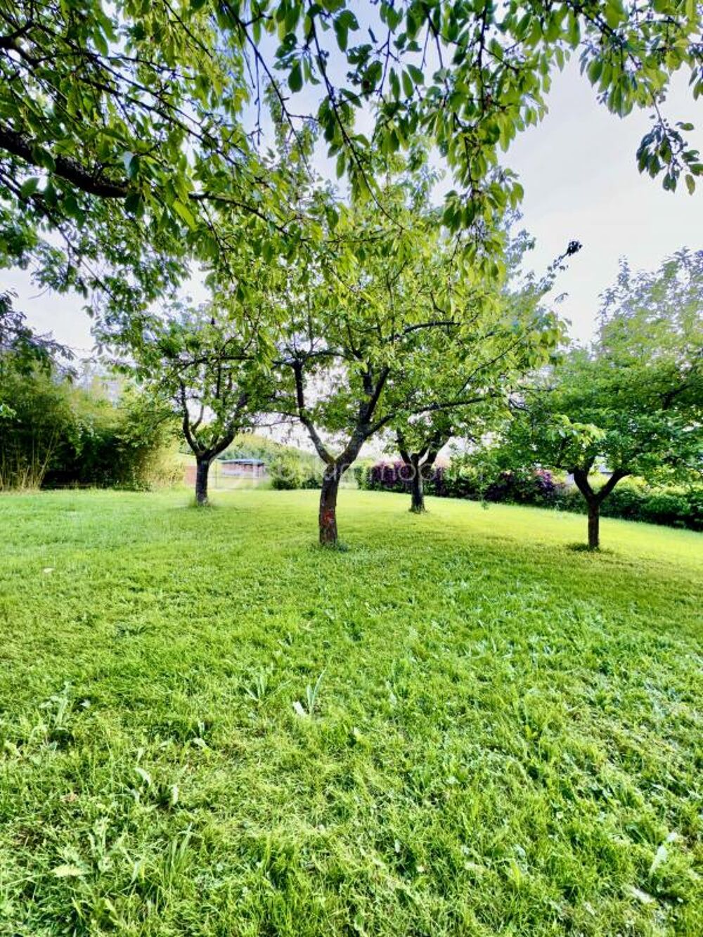 Vente Terrain Rare à la vente – Terrain d'Exception au Pied du Château – 25 M de façade  – 1000 m² de Nature et de Calme Ham sous varsberg