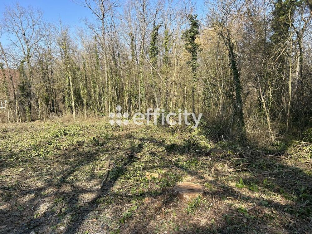 Vente Terrain Terrain Vernou la celle sur seine