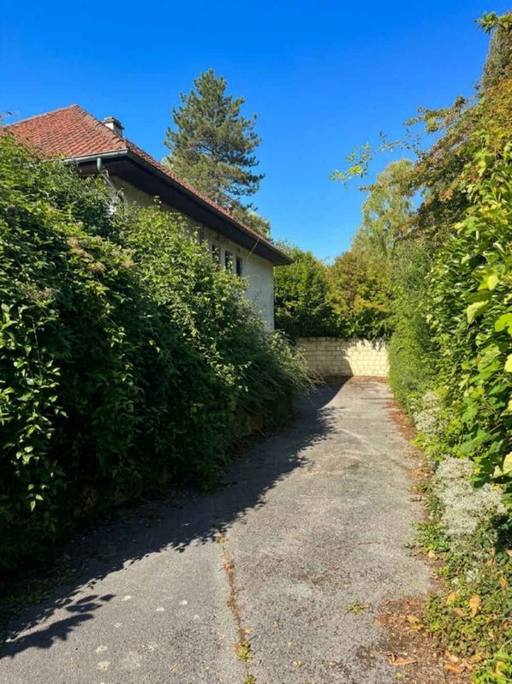 Vente Maison Emplacement exceptionel !Maison 125m2 , 2 chambres  sur une parcelle de 2215m2 à DURY Dury