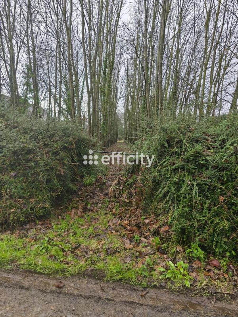 Vente Terrain Terrain Caulnes