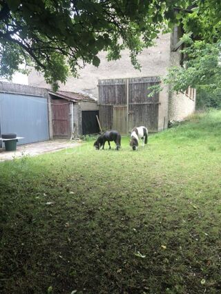  Remise / Grange � vendre 1 pi�ce 280 m�