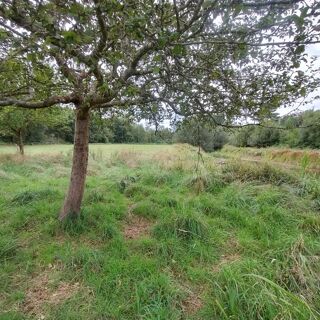  Terrain  vendre 28600 m