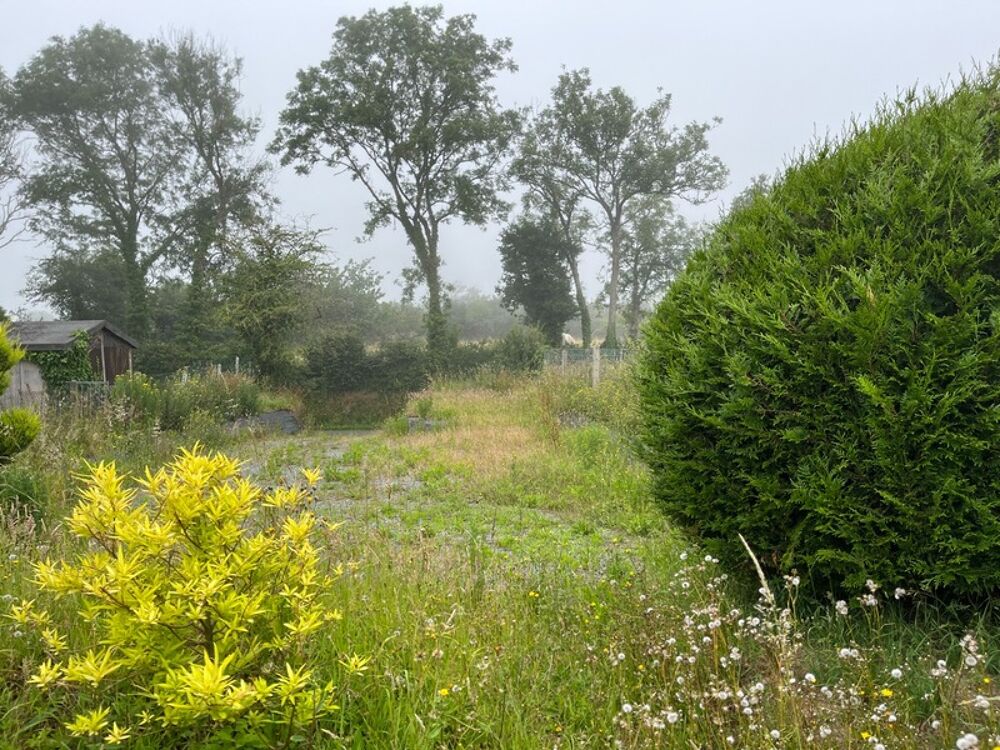 Vente Maison À seulement 5 km de Barneville-Carteret, charmante maison en pierre avec jardin arboré Barneville carteret