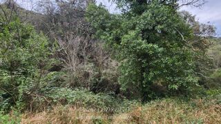  Terrain � vendre 41460 m�