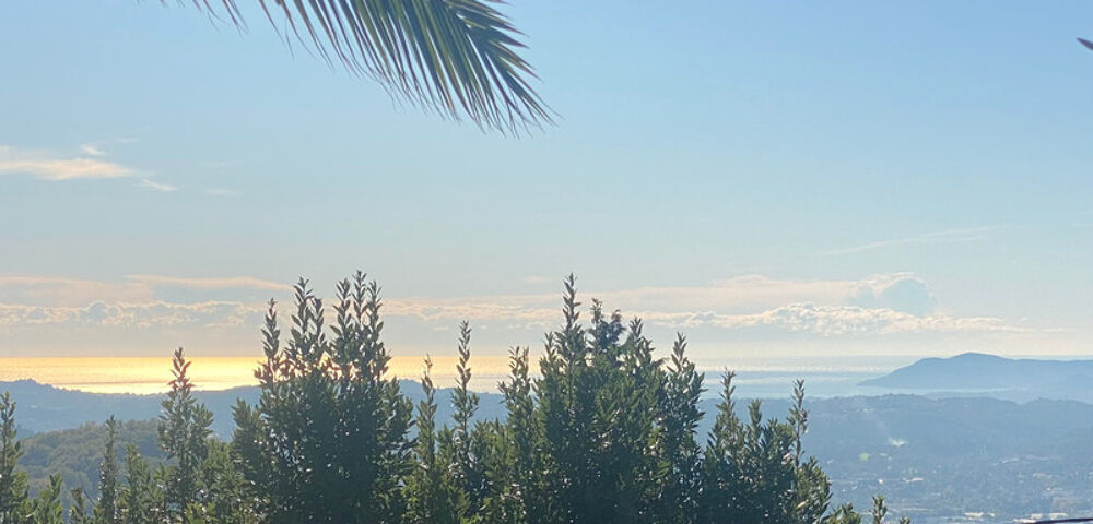 � vendre  Propri�t�/ch�teau Magagnosc (06520)