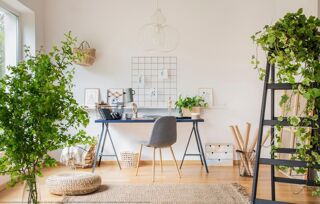  Appartement � vendre 4 pi�ces 86 m�